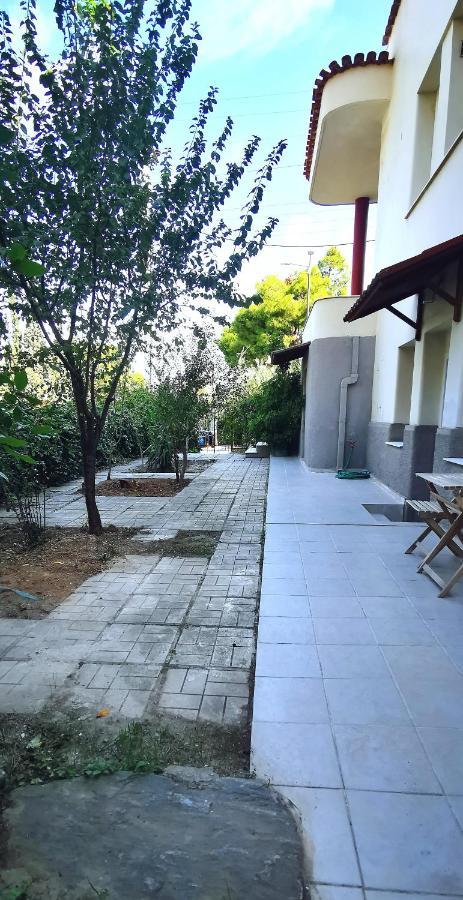 Amazon Spacious 3Bedroom Premium Neighbourhood Athens Exterior photo